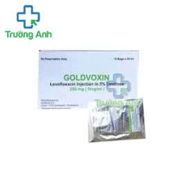 Goldvoxin 250mg ACS Dobfar - Thuốc điều trị nhiễm khuẩn